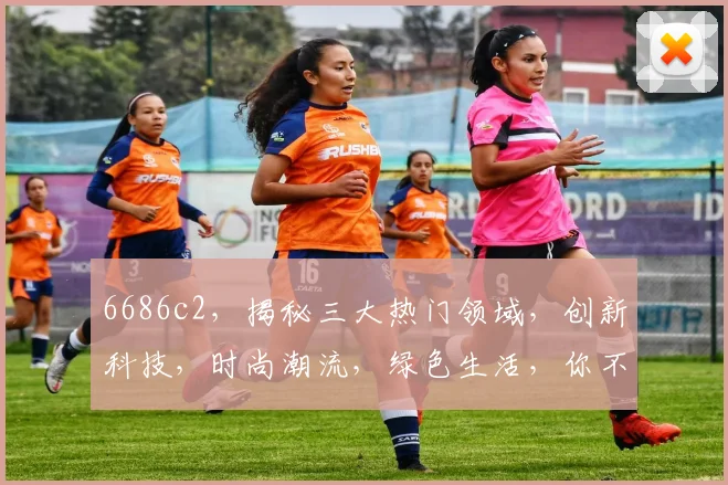 6686c2，揭秘三大热门领域，创新科技，时尚潮流，绿色生活，你不可不知的精彩