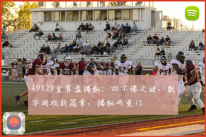 49829金算盘揭秘：四不像之谜，数字游戏新篇章，揭秘两重门