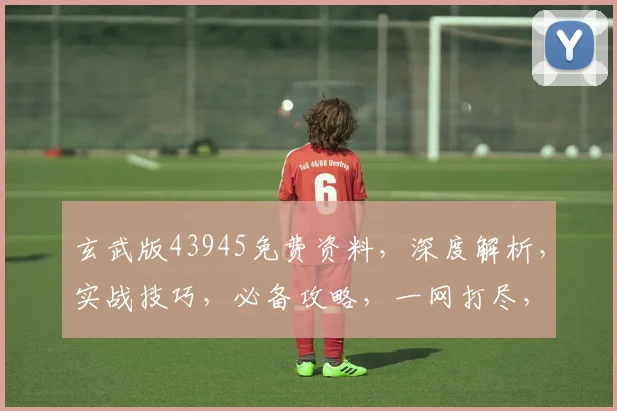 玄武版43945免费资料，深度解析，实战技巧，必备攻略，一网打尽，不容错过