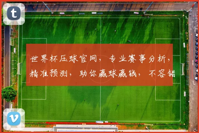 世界杯压球官网，专业赛事分析，精准预测，助你赢球赢钱，不容错过